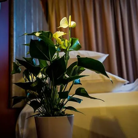 Hotel Dormero Deho Linz