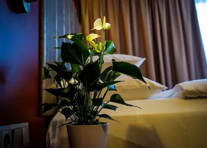 ホテル Dormero Deho リンツ